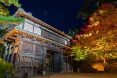 弘前城の紅葉
