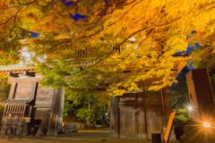 弘前城の紅葉