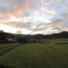 夕方の棚田