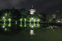 夜の興福寺