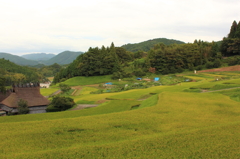 晩夏の棚田