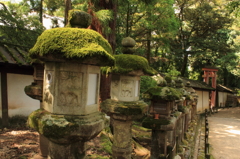 春日大社　石灯籠
