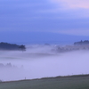 朝霧の丘