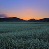 蕎麦夕景