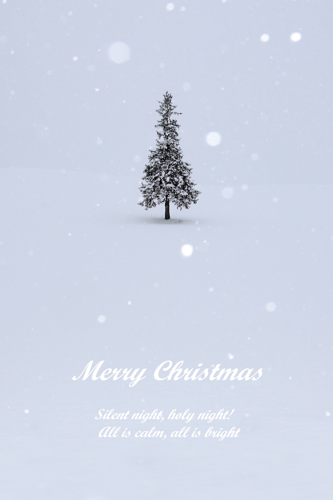 ホワイト　クリスマス
