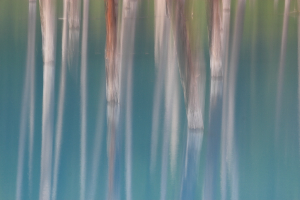 夢の中
