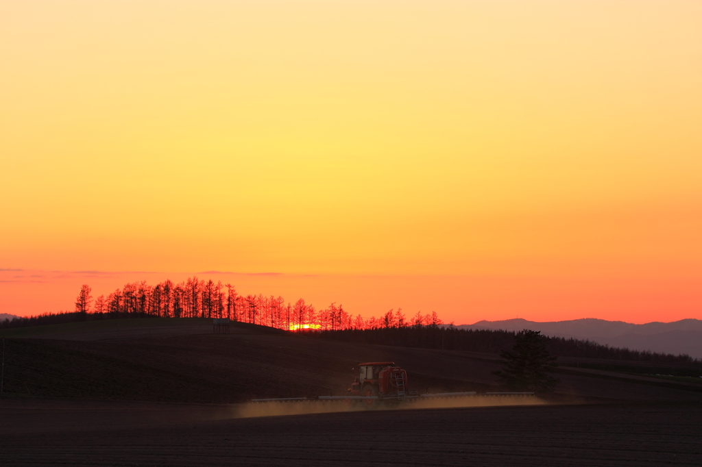 夕日に向かって By 写楽庵 卒業しました Id 写真共有サイト Photohito