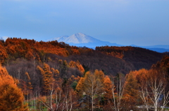 晩秋の山間