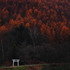 晩秋の里山