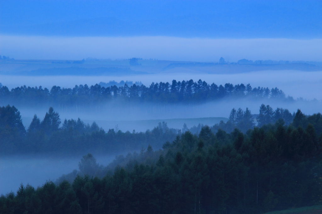 朝霧に沈む美瑛の丘