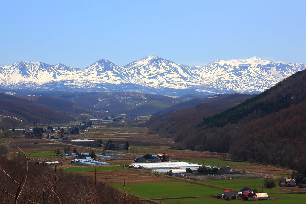 山里深く・・