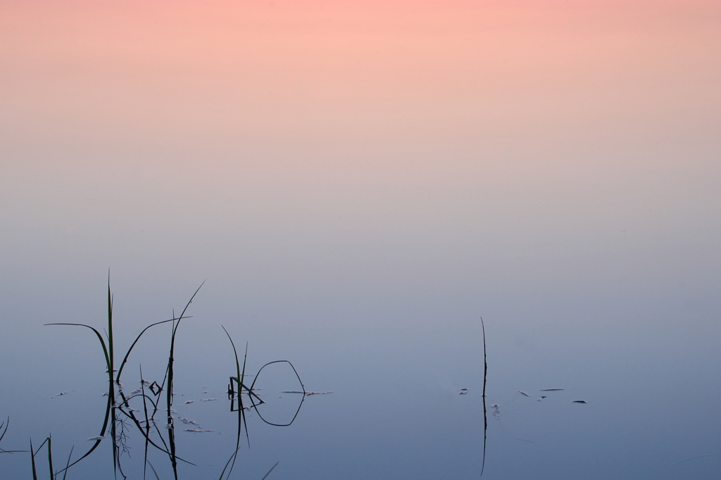 水夕景