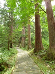 参道