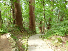 参道２
