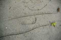 自分で作る道