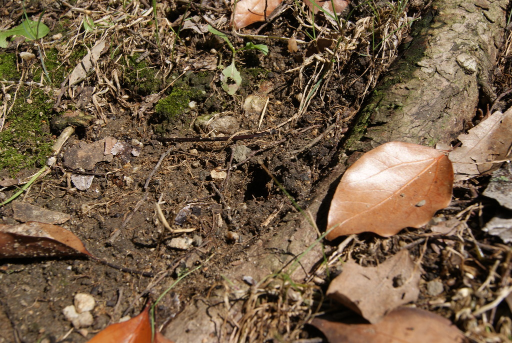 レッツ久宝探検隊☆20110828
