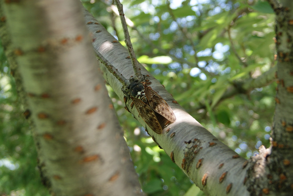 レッツ久宝探検隊☆20110828