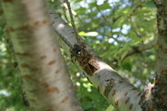 レッツ久宝探検隊☆20110828