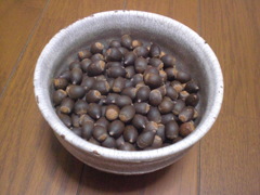 ツブラジイ（約５００個）