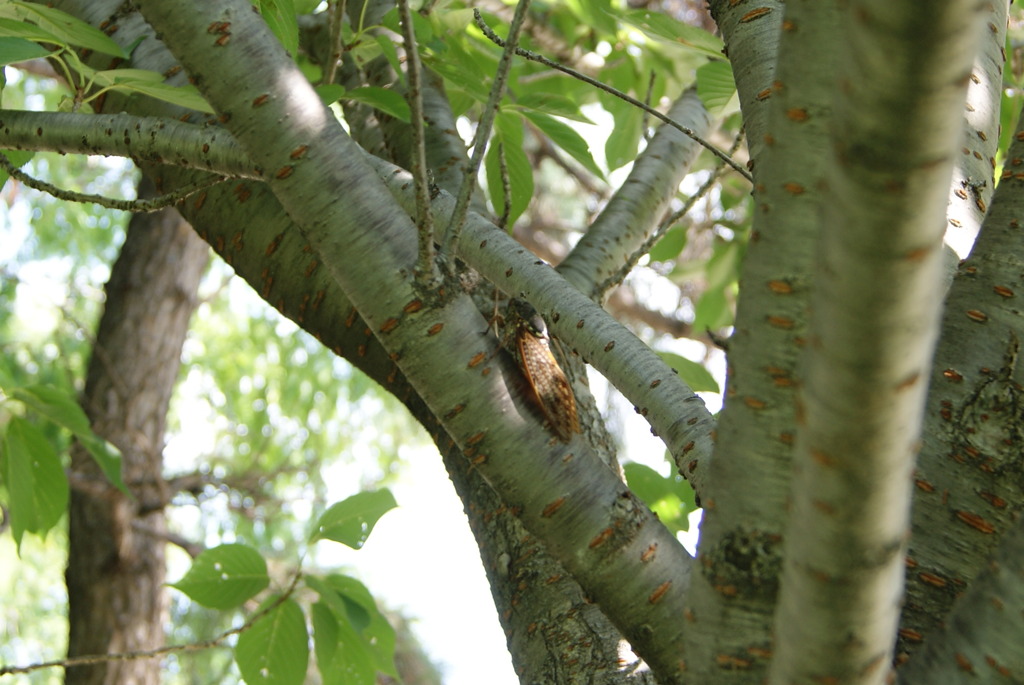 レッツ久宝探検隊☆20110828