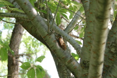 レッツ久宝探検隊☆20110828