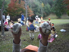 お弁当のおにぎり