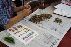 レッツ久宝探検隊☆20110828