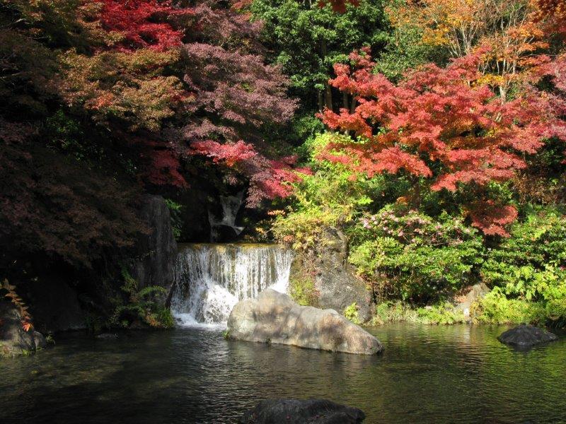 日本庭園　滝