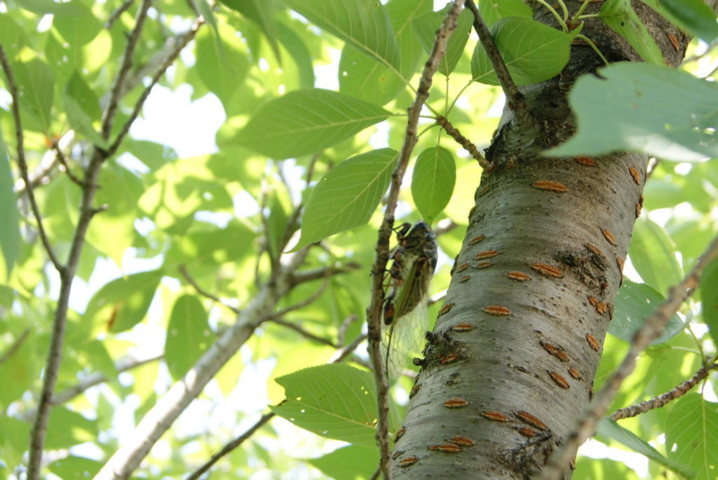 レッツ久宝探検隊☆20110828