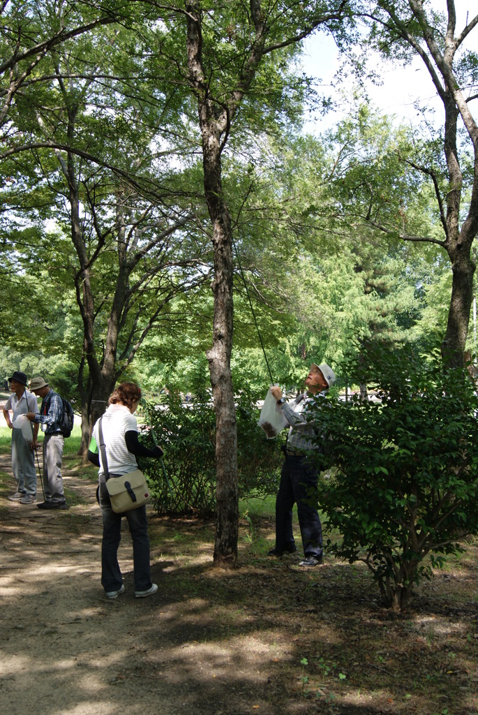 レッツ久宝探検隊☆20110828