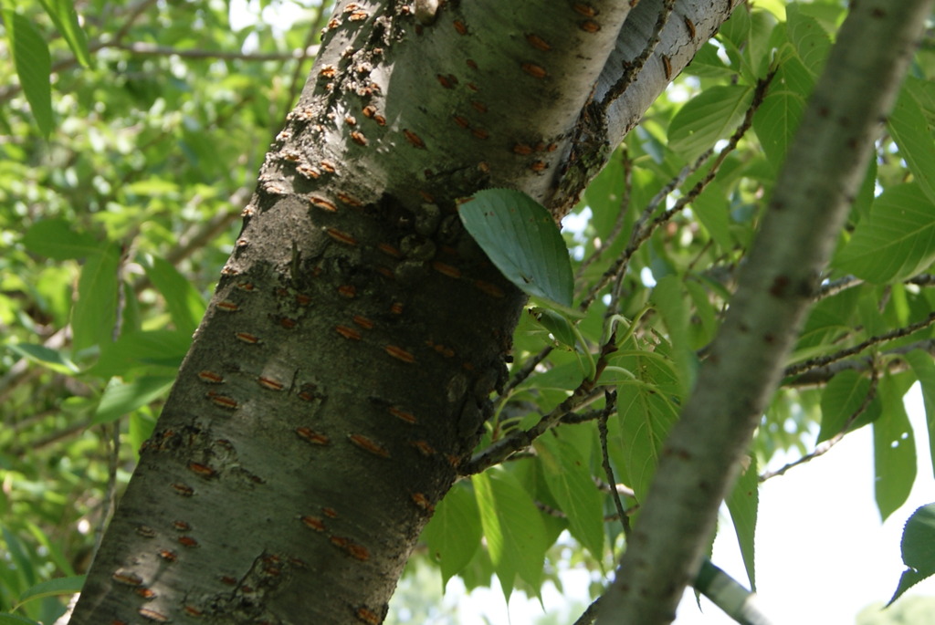 レッツ久宝探検隊☆20110828