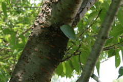 レッツ久宝探検隊☆20110828