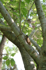 レッツ久宝探検隊☆20110828