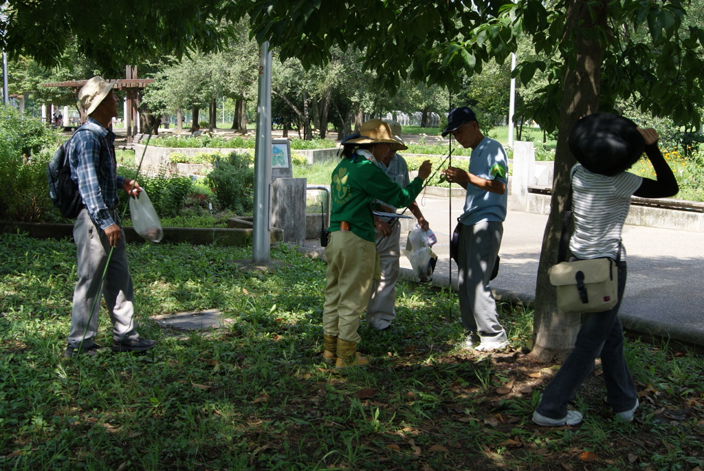レッツ久宝探検隊☆20110828