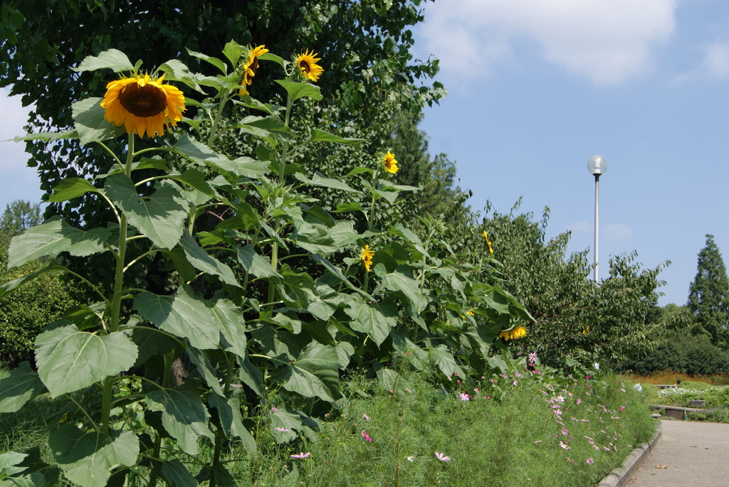 レッツ久宝探検隊☆20110828