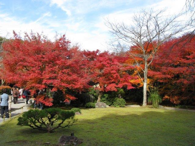 大河内庭園１