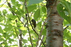 レッツ久宝探検隊☆20110828