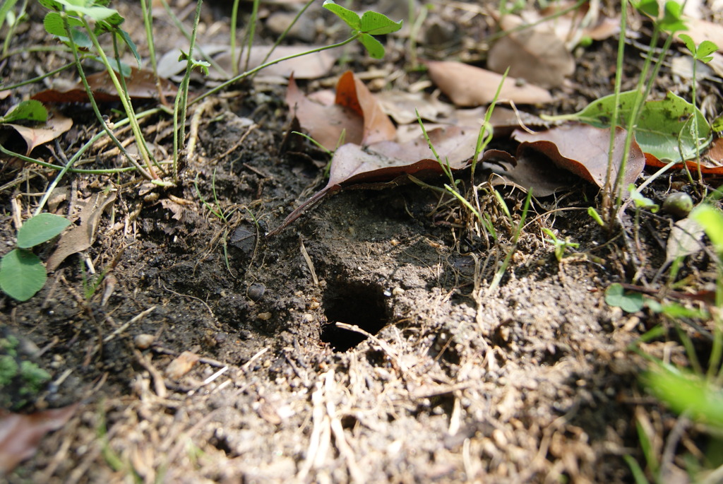 レッツ久宝探検隊☆20110828