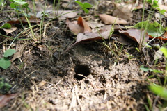 レッツ久宝探検隊☆20110828