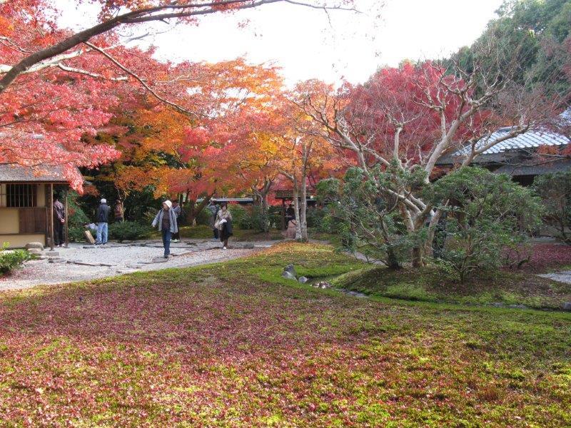 千里庵庭１