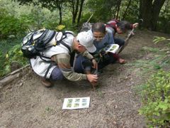 20111030木の実観察会☆（伊東さん撮影）