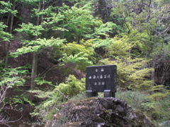 水源の森百選の碑とカツラ