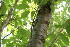 レッツ久宝探検隊☆20110828