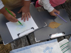 葉っぱのこすり出し