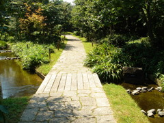 ため池へ続く小川