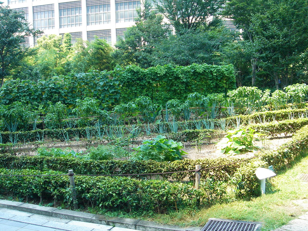 新梅田シティ里山入り口左手