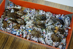 レッツ久宝探検隊☆20110828