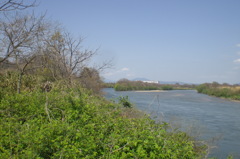 木津川（右）と宇治川（左）の合流