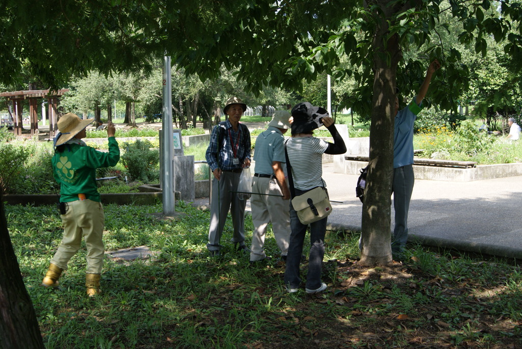 レッツ久宝探検隊☆20110828