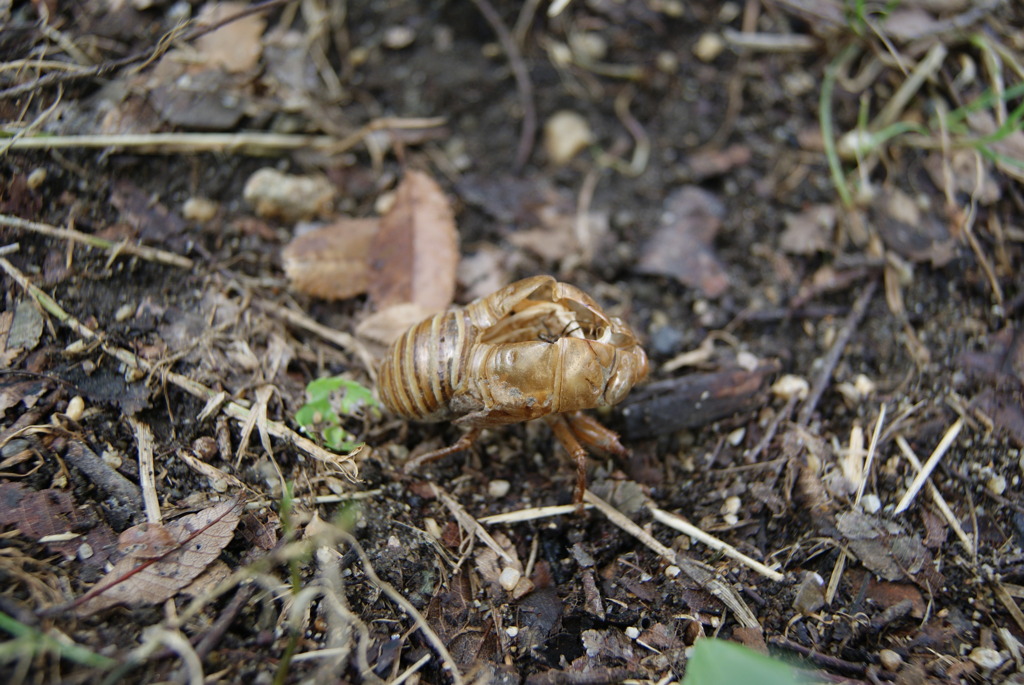 レッツ久宝探検隊☆20110828